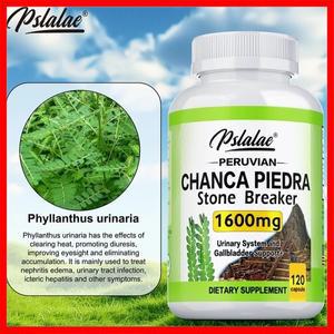 Chanca Piedra - 신장 건강 지원, 해독 및 클렌징 개선
