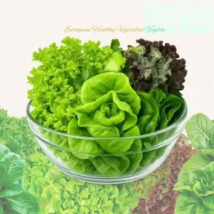 충남 부여 유러피안 샐러드채소 1kg/3~5종랜덤발송