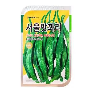 서울맛꽈리 500립 더기반 26년 고추씨앗