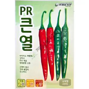PR큰열 600립 제농 26년 고추씨앗