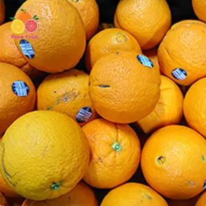 가정용 실속형 못난이 오렌지 15kg