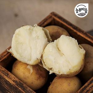 [장터할매]25년 햇감자 10kg 휴게소통구이 간식 대용량