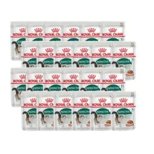 로얄캐닌 고양이 파우치 7세 이상 인스팅티브 그레이비 85g 24팩 시니어묘 습식사료