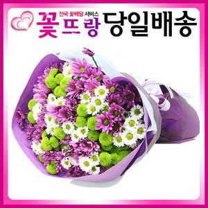 소국모음 꽃다발 [꽃도매점에서 싱싱한 꽃으로 배송]