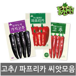 씨앗모음 고추씨앗 파프리카 채소종자 텃밭채소