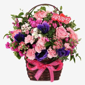 당일꽃배달 5월의 카네이션 꽃 어버이날 도착 A1648