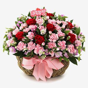 당일 꽃배달 장미 카네이션 꽃바구니 어버이날 A1652