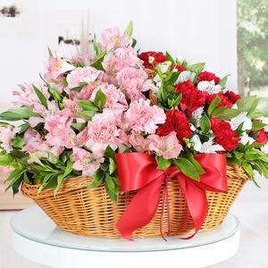 당일 꽃배달 핑크 카네이션 꽃바구니 생화 배달 A1998