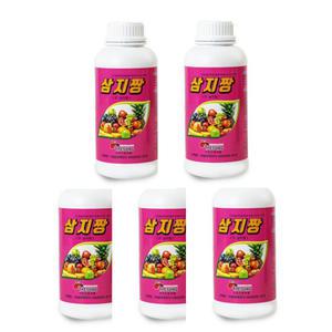 삼지짱 5병 유황 고추탄저병약 사과탄저병약