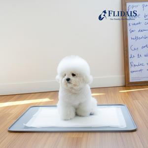 [플리다스] 착붙 실리콘 배변매트 논슬립 배변판 그레이 표준형