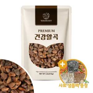 건강알곡 국산 겉잣 1kg 다람쥐 간식 앵무새 햄스터