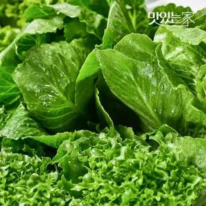 [동김제농협]  유러피안샐러드 3-4종 1kg 대용량 야채믹스 채소믹스