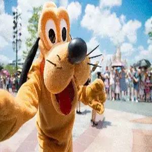 상해 4일 #디즈니랜드#노쇼핑#콘래드뷔페식#리무진 #준5성호텔