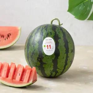 당도선별 수박 5~6kg미만