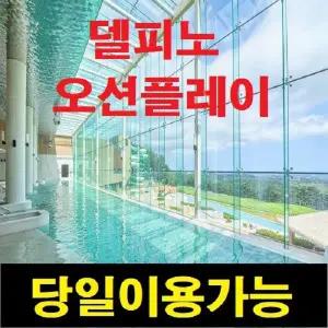 델피노 오션플레이 종일이용권