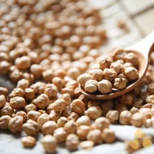 캐나다산 병아리콩 5kg - 정성든농수산