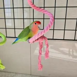 횟대 장난감 로프횃대 와이어 앵무새 로프 1m 놀이터