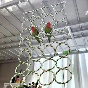 앵무새 앵무새망 버드링 28구 앵무새횟대 사다리 그물 장난감