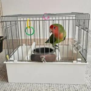 걸이형 스텐모이통 앵무새물통 스텐 소 앵무새 모이통 앵무새목욕