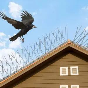 12set 베란다 조류퇴치 스텐 퇴치망 블럭 비둘기 가시발판 버드스파이크 에어컨실외기