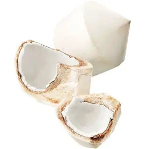 [상록청과]영코코넛9과