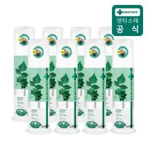 덴티스테 뉴 플러스화이트 펌프형치약 120g x 8개