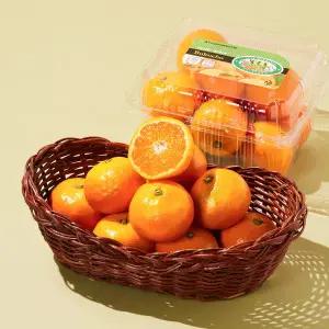 [프리미엄] 고당도 불로초 감귤 800g 팩