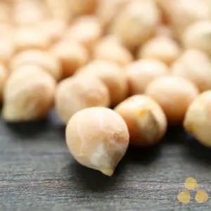 캐나다산 병아리콩 4kg - 정성든농수산