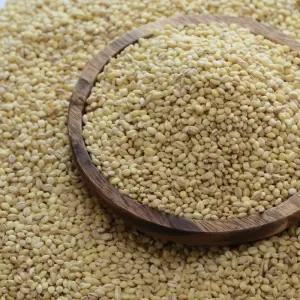 국산 찰보리 4kg - 정성든 농수산