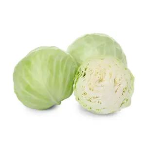 세상별미 친환경 무농약 꼬마 양배추 5kg