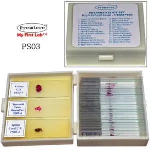 [하프클럽/셀러허브_여성트랜드패션](상급) (권장연령 PS03 17세이상)