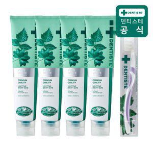 덴티스테 뉴플러스화이트 치약 200g 4개 + 마이브러쉬 칫솔 M