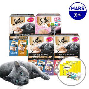 쉬바 미니 리치 35gx12개 골라담기+캣닢쿠션+템테이션12gx3개