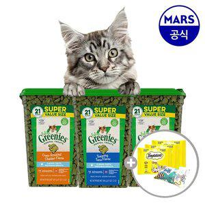 필라인 그리니즈 대용량팩 595g (맛택1)+캣닢쿠션+템테이션12gx3개
