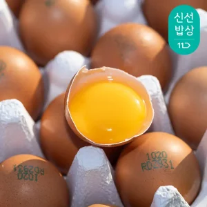 [대한민국농수산] 난각번호 1번 무항생제 유정란 60구 (20구x3판)