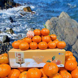 제주 타이벡 농법 노지 감귤 5kg 산지 밀감 매일 수확 신선