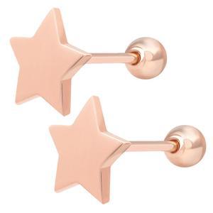 14K 골드핀 플랫스타 심플 데일리 베이직 별 피어싱 본품 하나더
