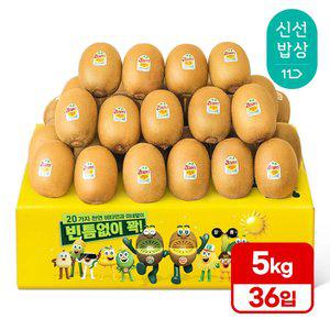 [품질보장][5kg내외] 제스프리 골드키위 36입 (개별 140g내외)
