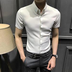 반팔 세미 슬림핏 무지 카라 조안스