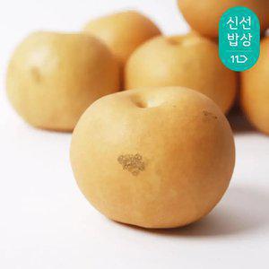 [과일꾼] 갓 수확 새콤달콤 가정용 추황배 5kg 13과내 10과내