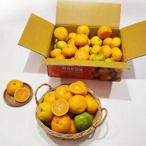 제주 햇 조생 감귤 9kg 외 2/4.5kg 노지감귤