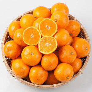 [프레쉬킹] 청정 제주 타이백 감귤 5kg