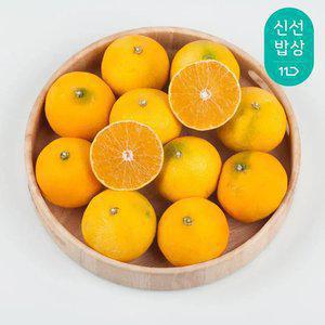 [과일꾼] 신선 향긋한 매력 제주 황금향 정품 4kg 15과내외