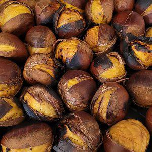 [충남부여] 군밤용 홀라당까지는 햇밤 1kg 대사이즈 칼집밤 2025년 햇 뜨래밤