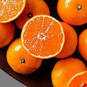 제주 홍매향 1kg 2kg 희귀신품종 썬레드 감귤