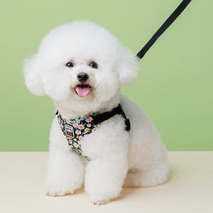 강아지하네스 리드줄 목줄 가슴줄 소형견 앞섬방지