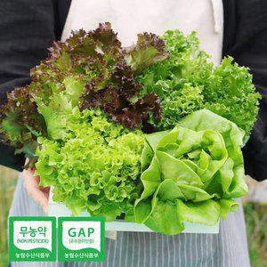 무농약 모듬 쌈채소유러피안 샐러드채소 1kg(3-5종)