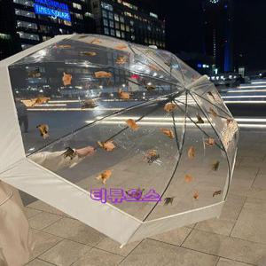 비오냥 고양이 우산 투명 장우산 장마 준비 귀여운 티류으스