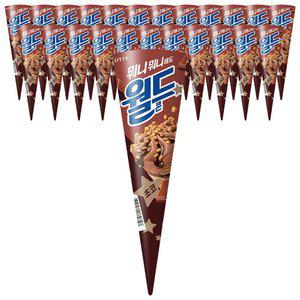 [슈팅냉동] 롯데웰푸드 월드콘 초코 160ml, 24개