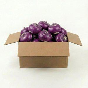 제주 콜라비 특품 10kg 보라색무 아삭아삭 무우